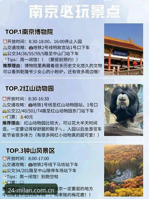 米兰官方mlapp下载地址 米兰官方mlapp下载地址避坑指南:深度评测MILAN中国24Edition预约渠道